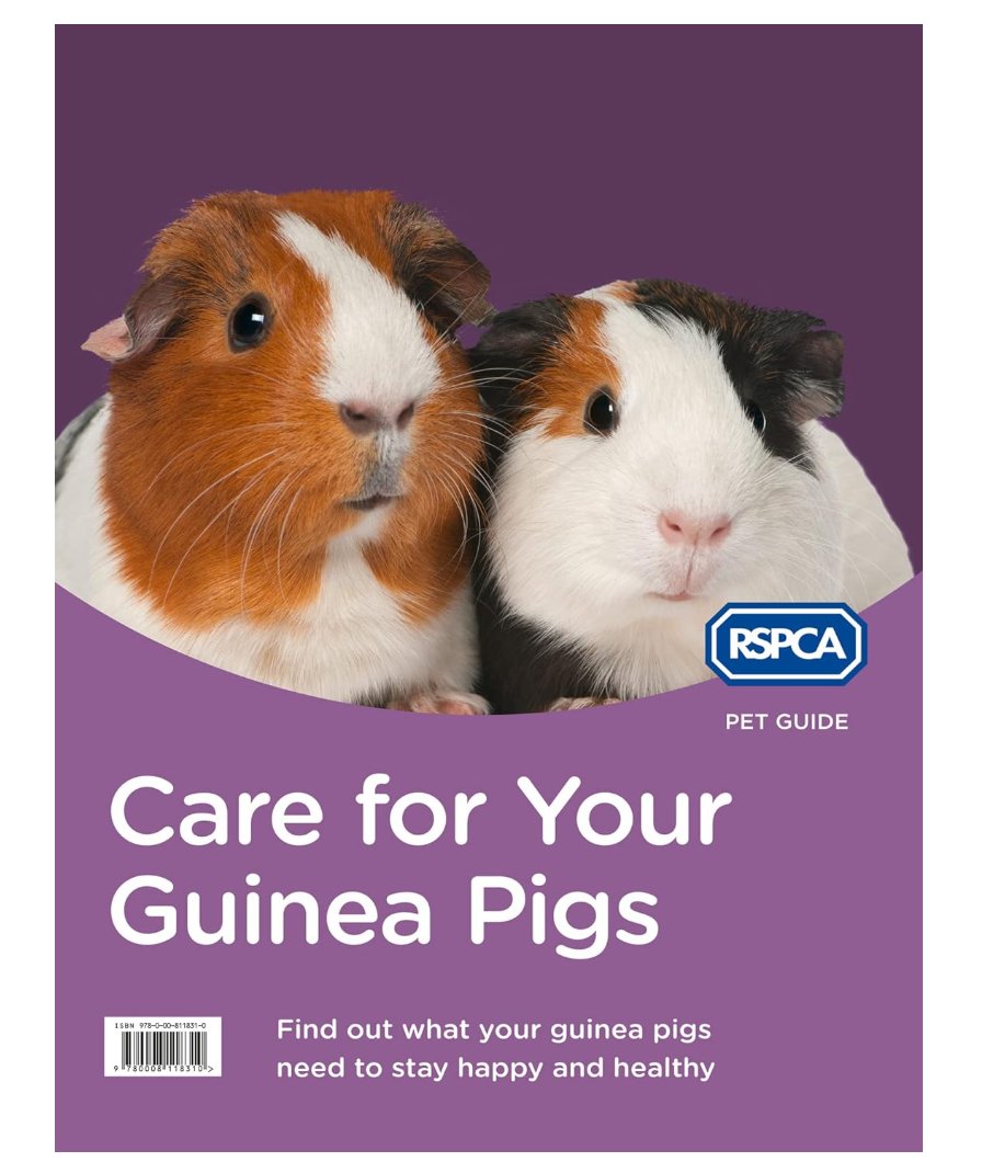RSPCA Guinea Pig Guide