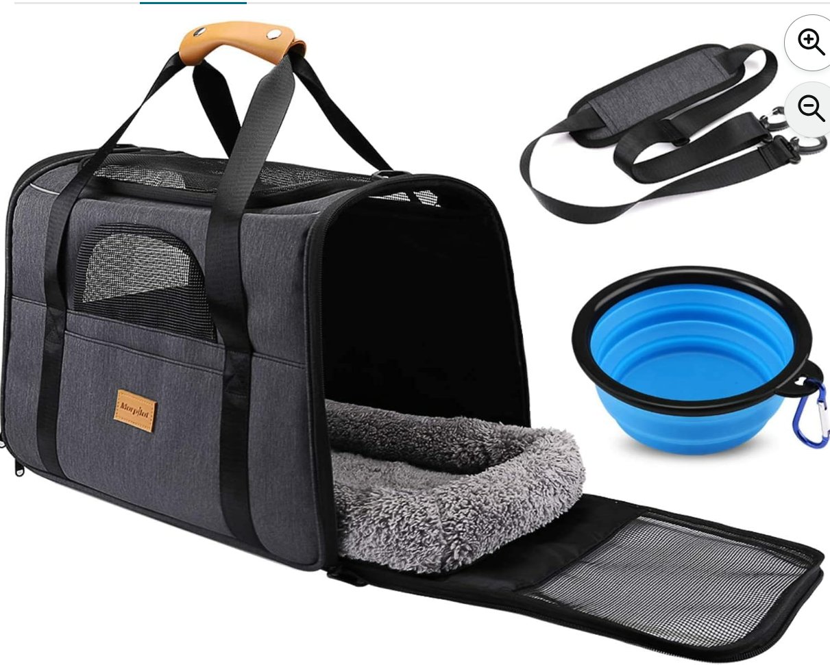 Pet Carrier with Bowl Set