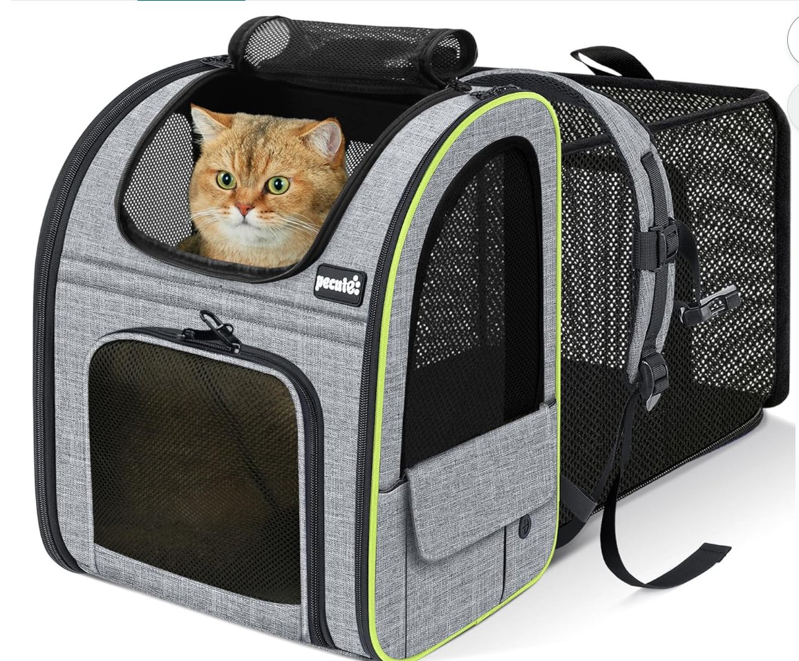 Pecute Cat Backpack