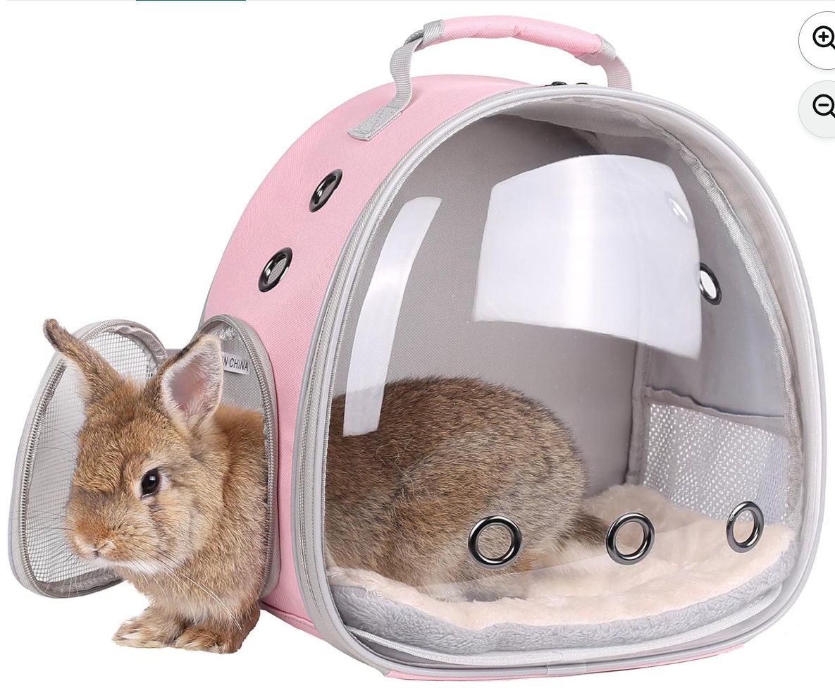 Rabbit Bubble Backpack