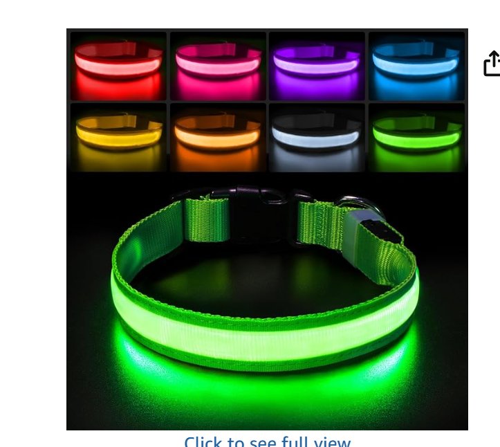 LED Light-Up Dog Collar
